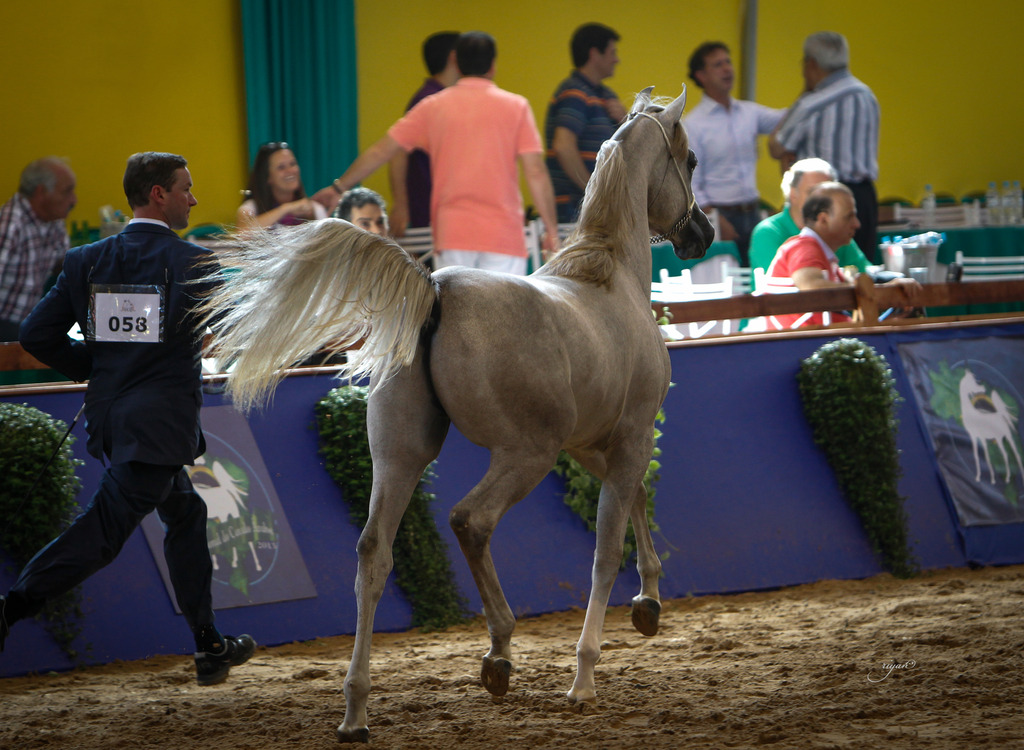 2013 Brazilian Nationals
