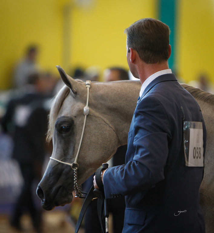 2013 Brazilian Nationals