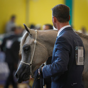 2013 Brazilian Nationals