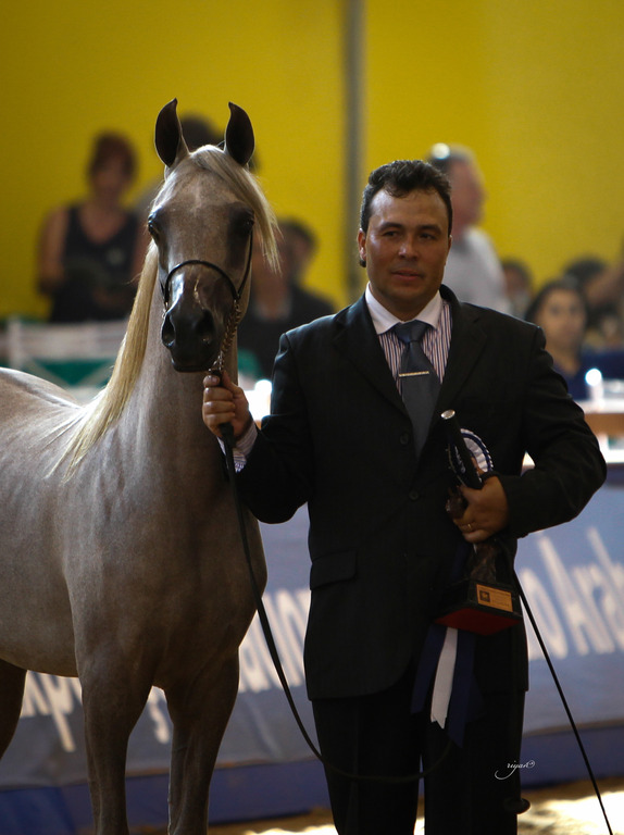 2013 Brazilian Nationals