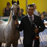 2013 Brazilian Nationals