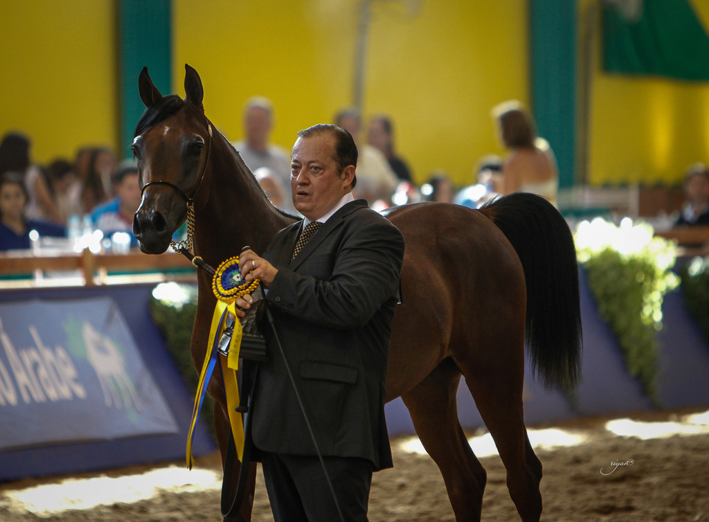 2013 Brazilian Nationals