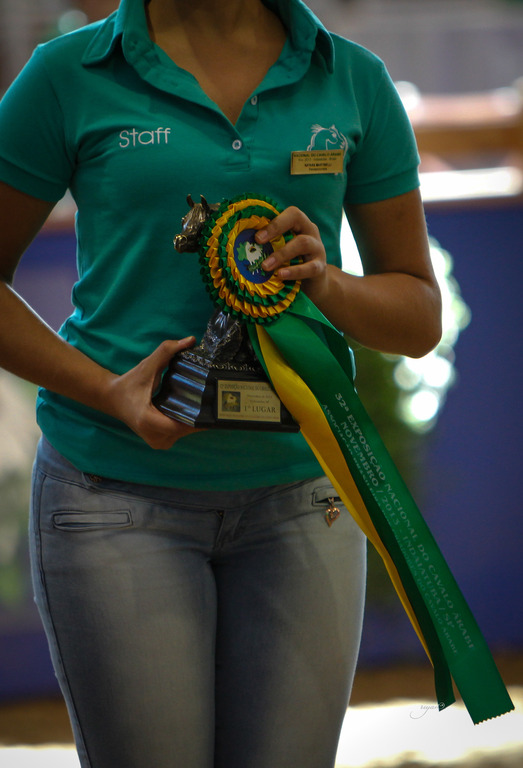 2013 Brazilian Nationals