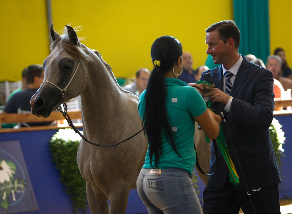 2013 Brazilian Nationals
