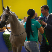 2013 Brazilian Nationals