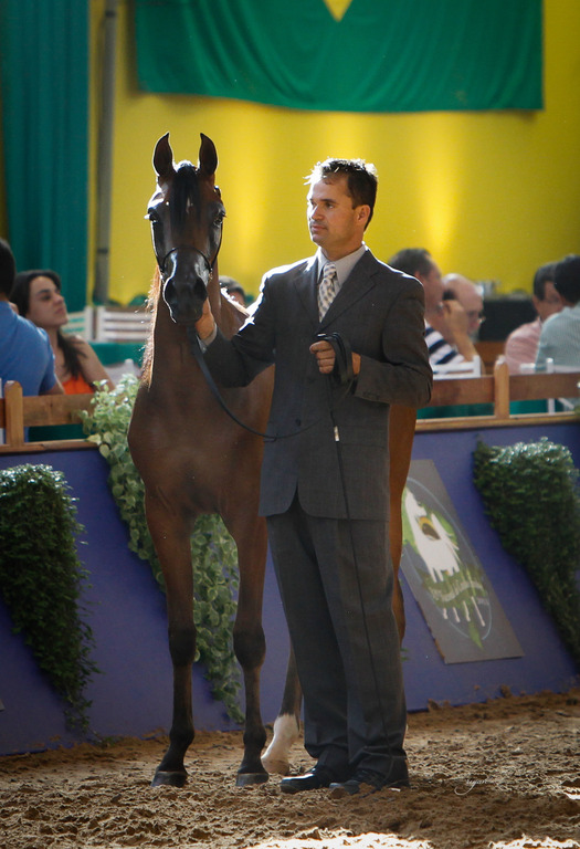 2013 Brazilian Nationals