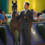 2013 Brazilian Nationals