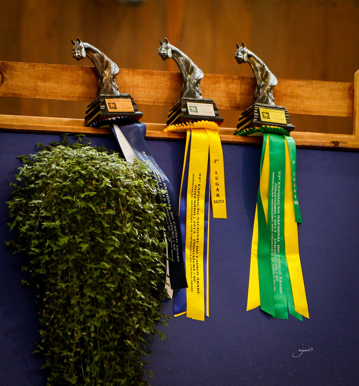 2013 Brazilian Nationals