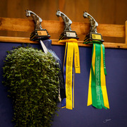 2013 Brazilian Nationals