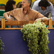 2013 Brazilian Nationals