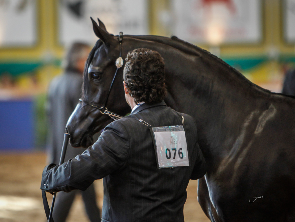 2013 Brazilian Nationals