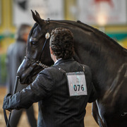 2013 Brazilian Nationals
