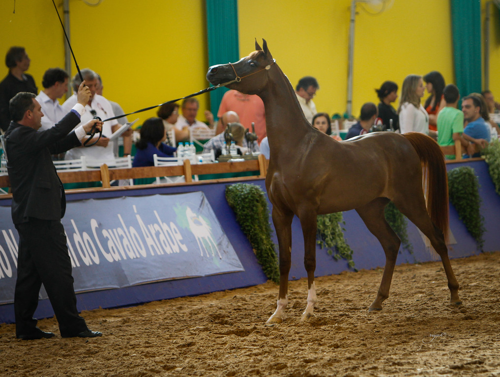 2013 Brazilian Nationals