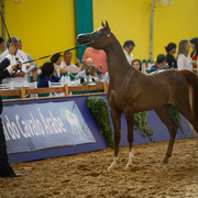 2013 Brazilian Nationals
