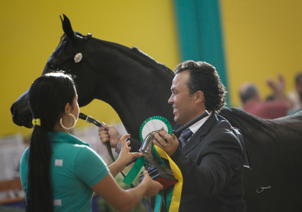 2013 Brazilian Nationals