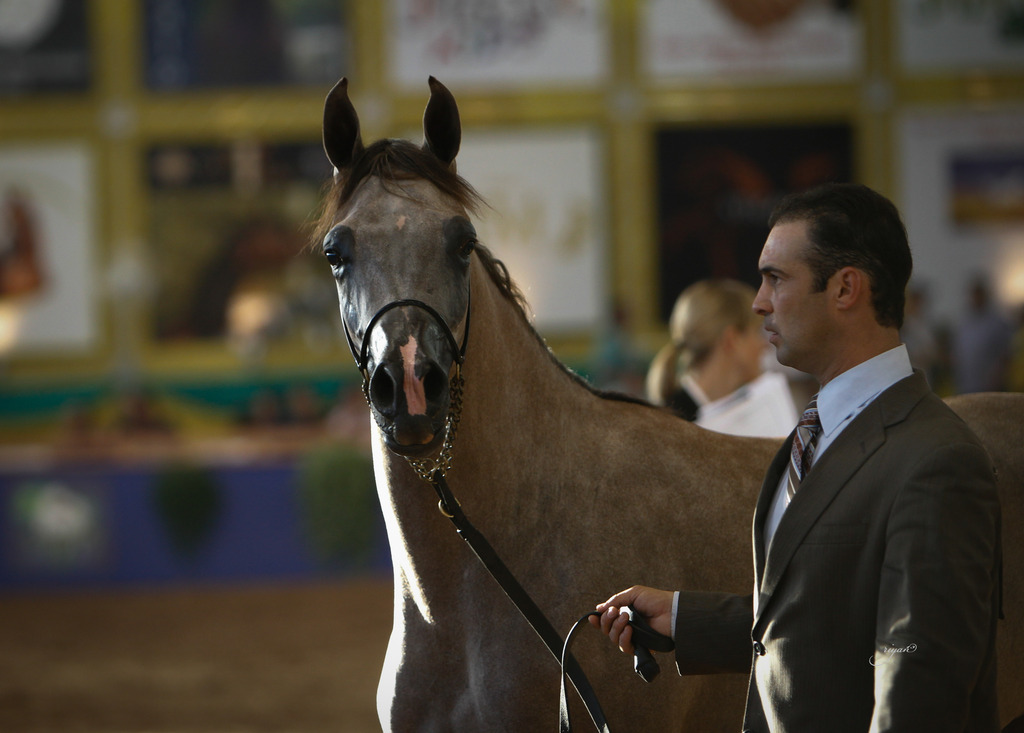 2013 Brazilian Nationals