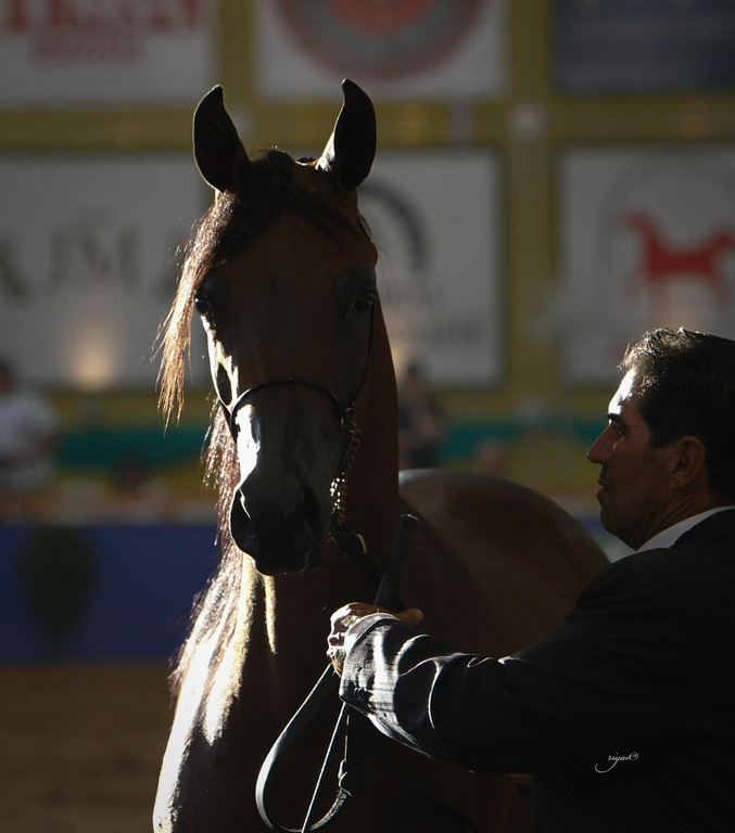 2013 Brazilian Nationals