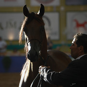 2013 Brazilian Nationals