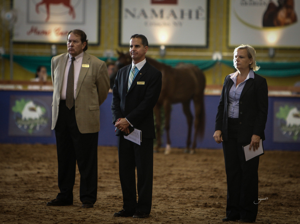 2013 Brazilian Nationals