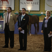 2013 Brazilian Nationals