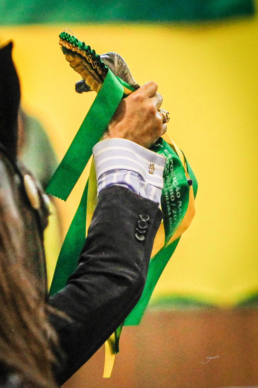 2013 Brazilian Nationals