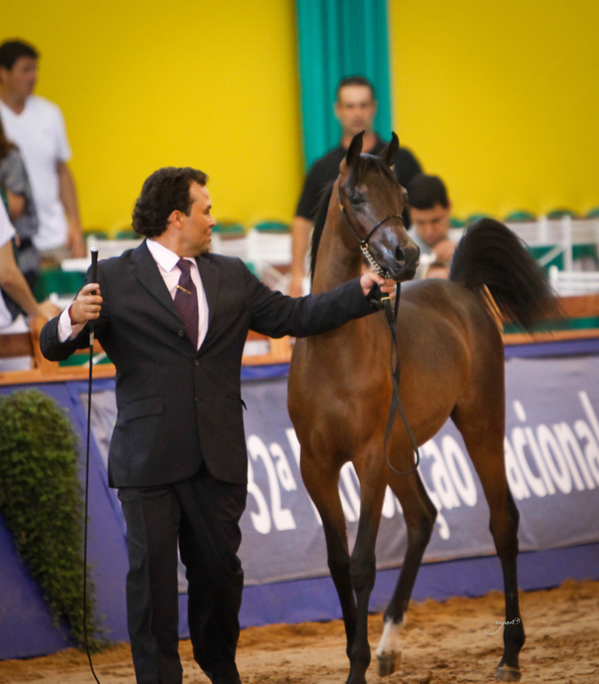 2013 Brazilian Nationals