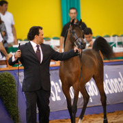 2013 Brazilian Nationals