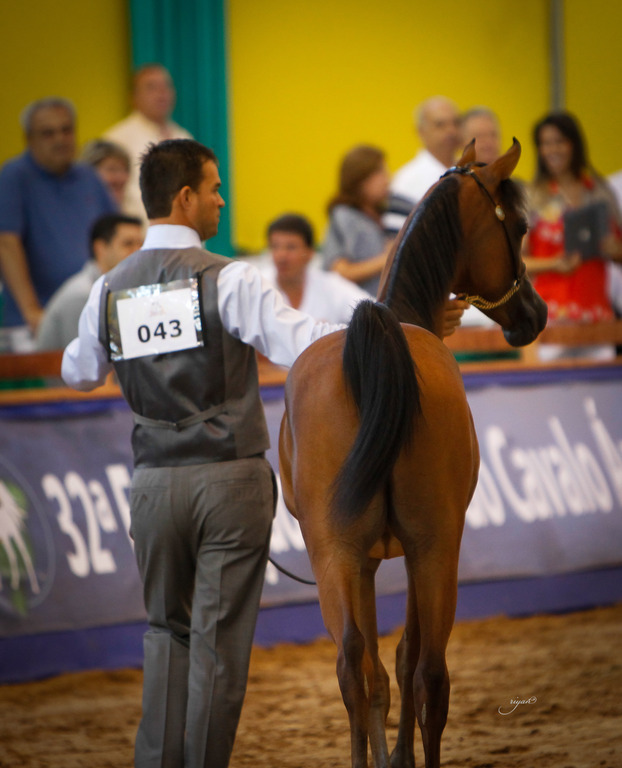 2013 Brazilian Nationals