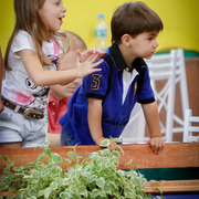 2013 Brazilian Nationals