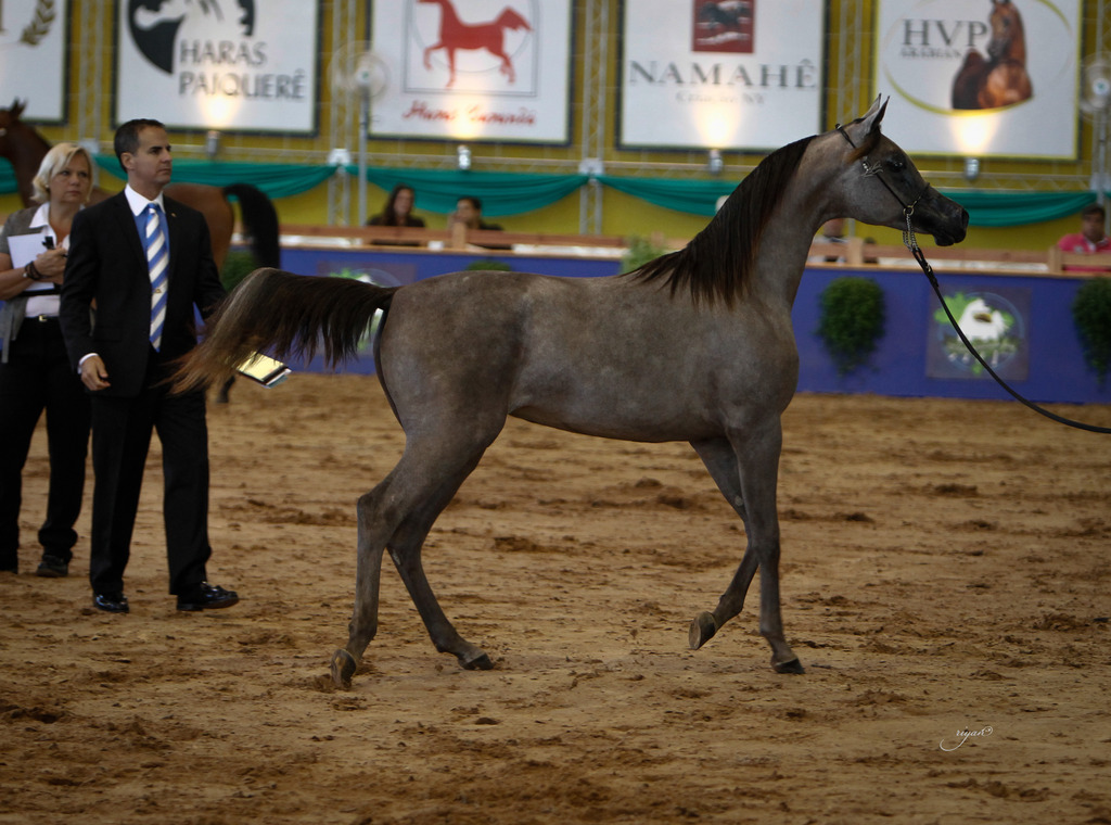 2013 Brazilian Nationals