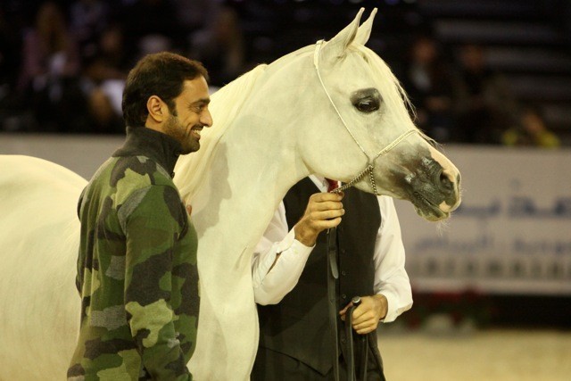 2010 Salon Du Cheval - World Championships Results