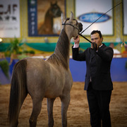 2013 Brazilian Nationals