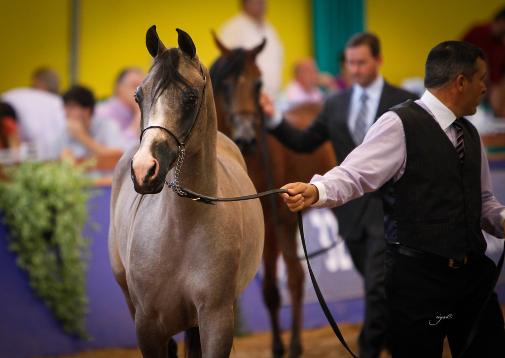 2013 Brazilian Nationals