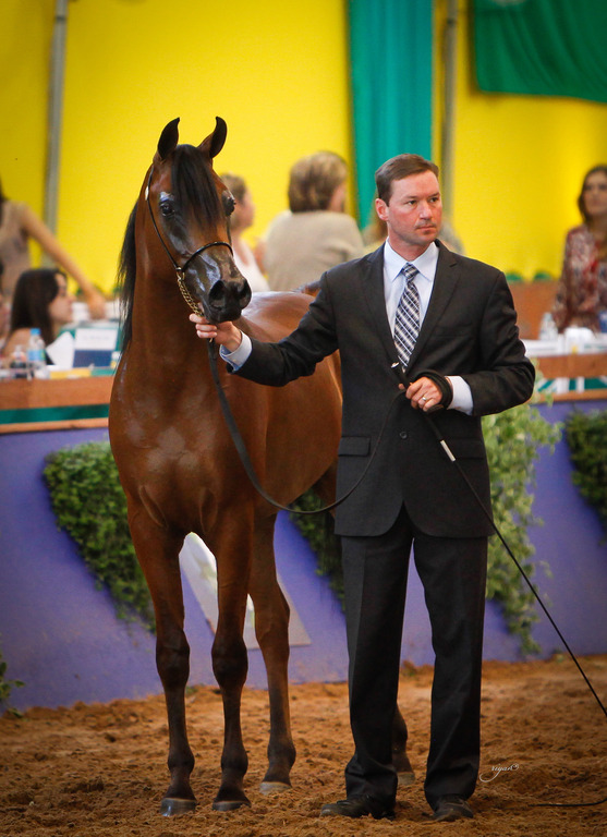 2013 Brazilian Nationals