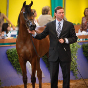 2013 Brazilian Nationals