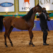 2013 Brazilian Nationals