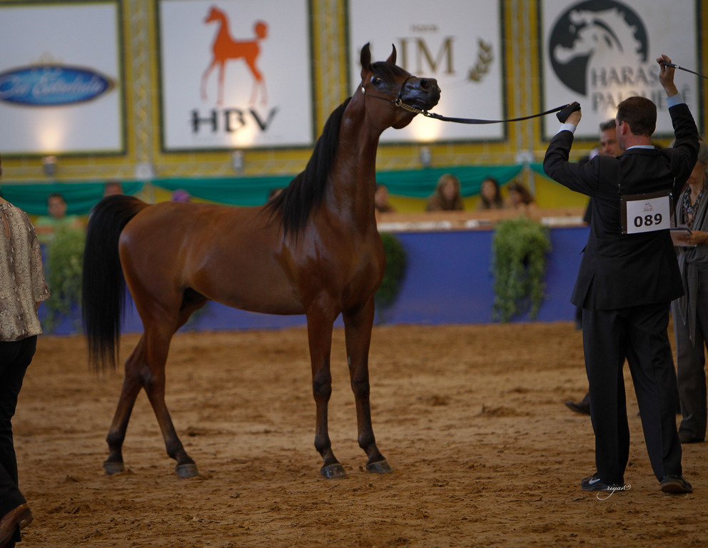 2013 Brazilian Nationals