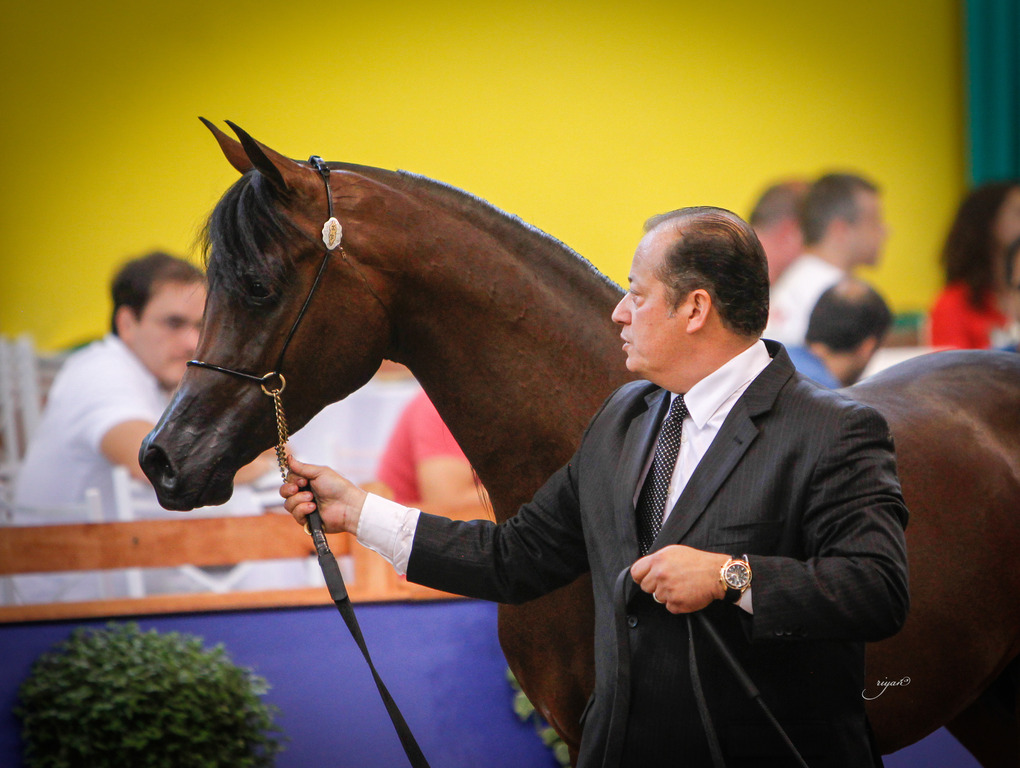 2013 Brazilian Nationals