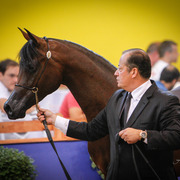 2013 Brazilian Nationals