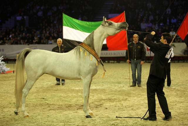 2010 Salon Du Cheval - World Championships Results
