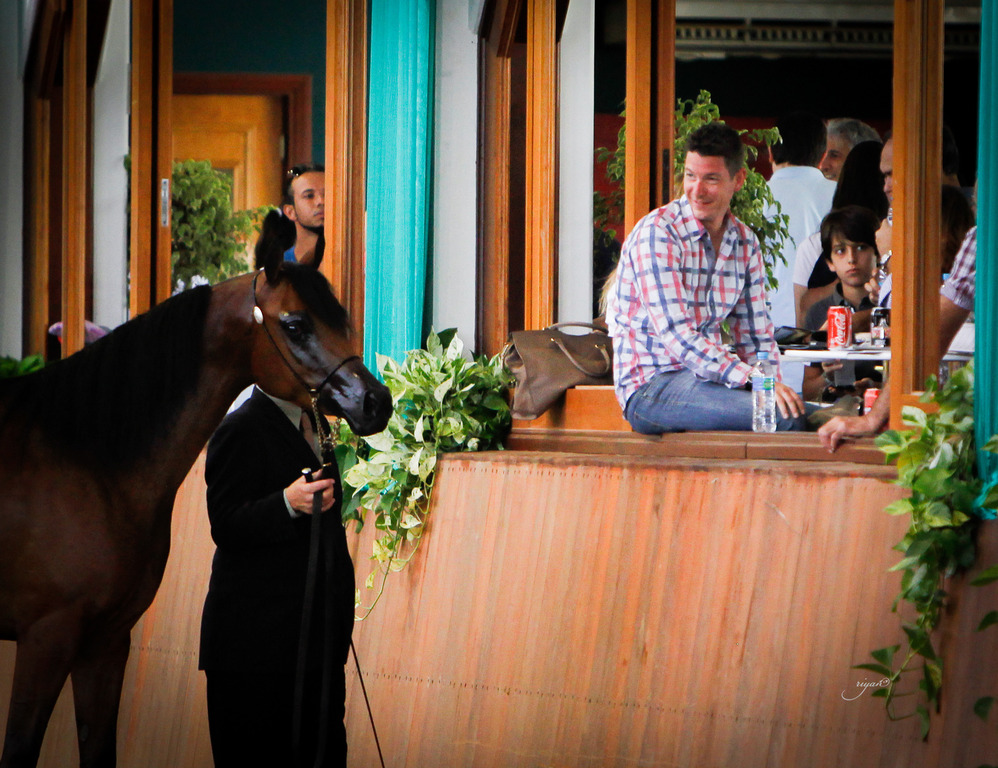 2013 Brazilian Nationals