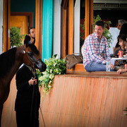 2013 Brazilian Nationals