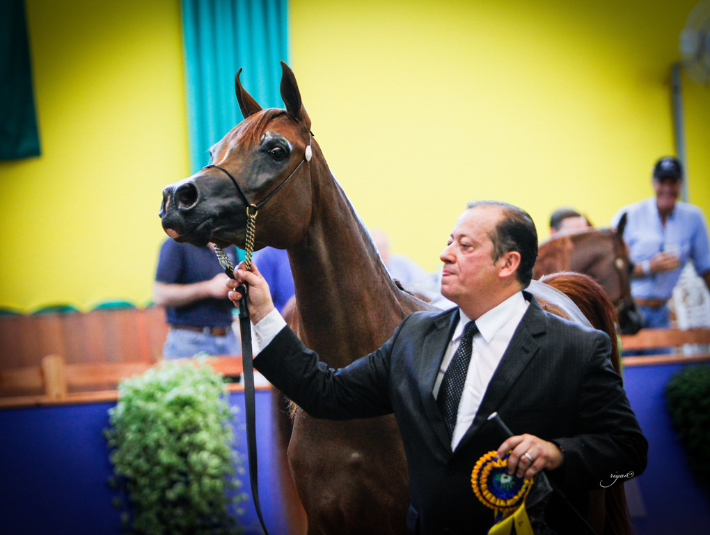 2013 Brazilian Nationals