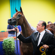 2013 Brazilian Nationals