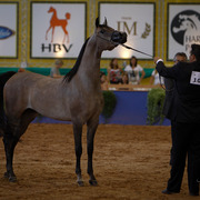 2013 Brazilian Nationals