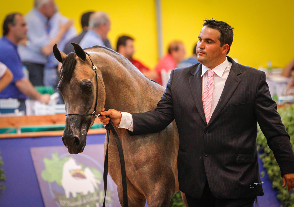 2013 Brazilian Nationals