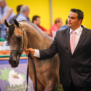 2013 Brazilian Nationals