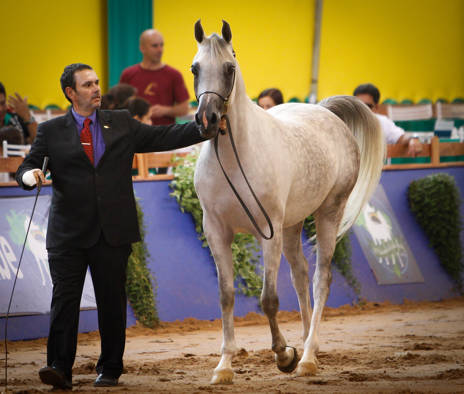 2013 Brazilian Nationals
