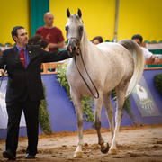 2013 Brazilian Nationals