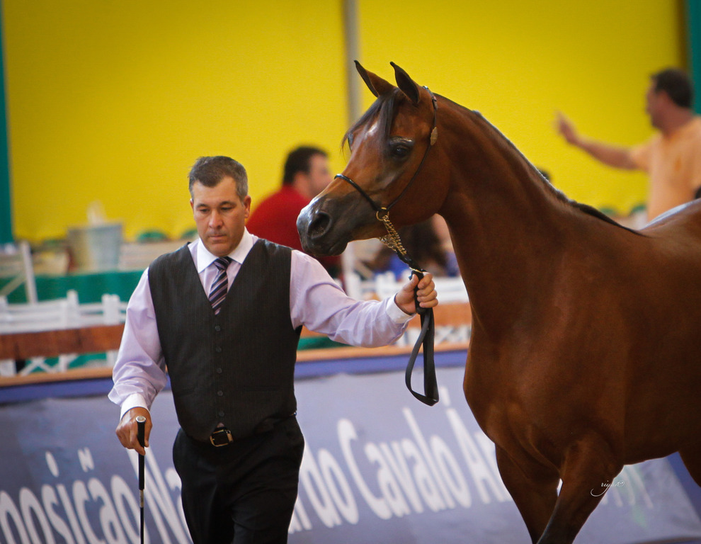 2013 Brazilian Nationals